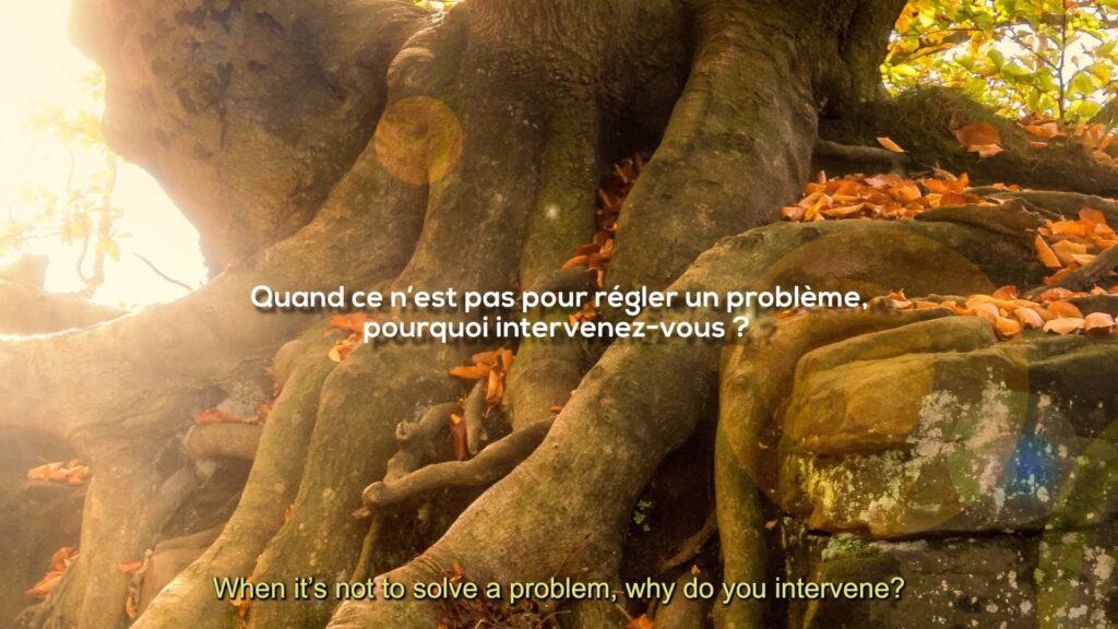 accompagner-le-developpement