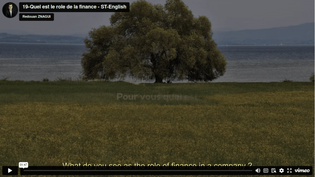 quel est le role de la finance