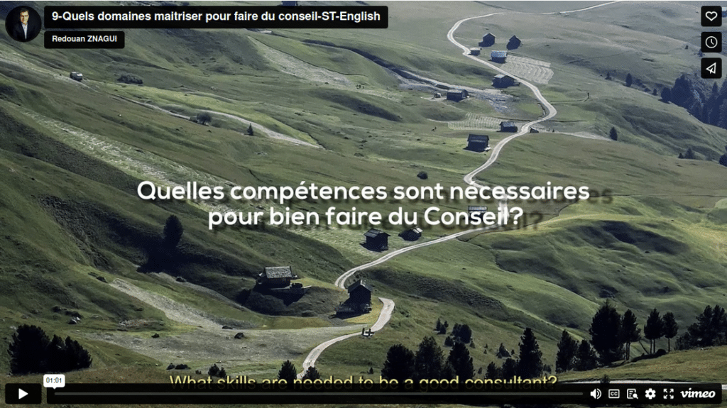 quels domaines maintriser pour faire du conseil